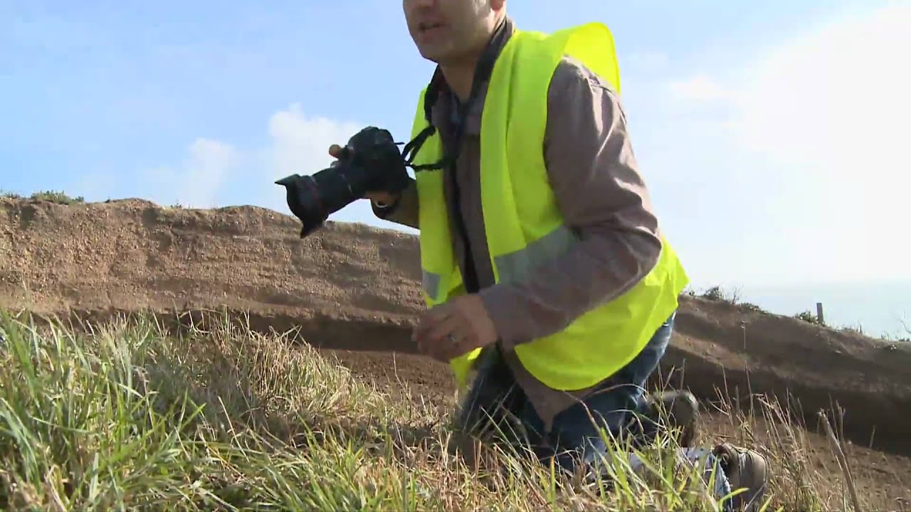 Freeze It or Blur It: A Field Guide to Action Photography Techniques