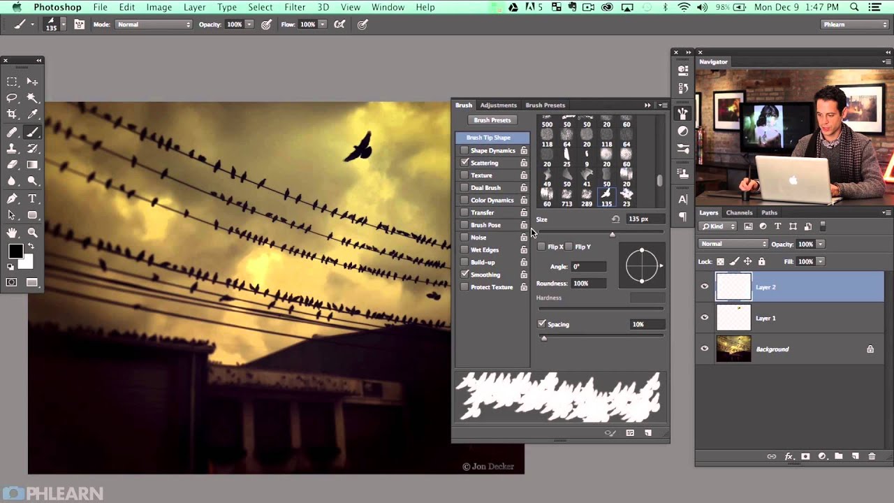 How to Turn Any Bird Photo Into a Custom Photoshop Brush (And Actually Make It Useful)