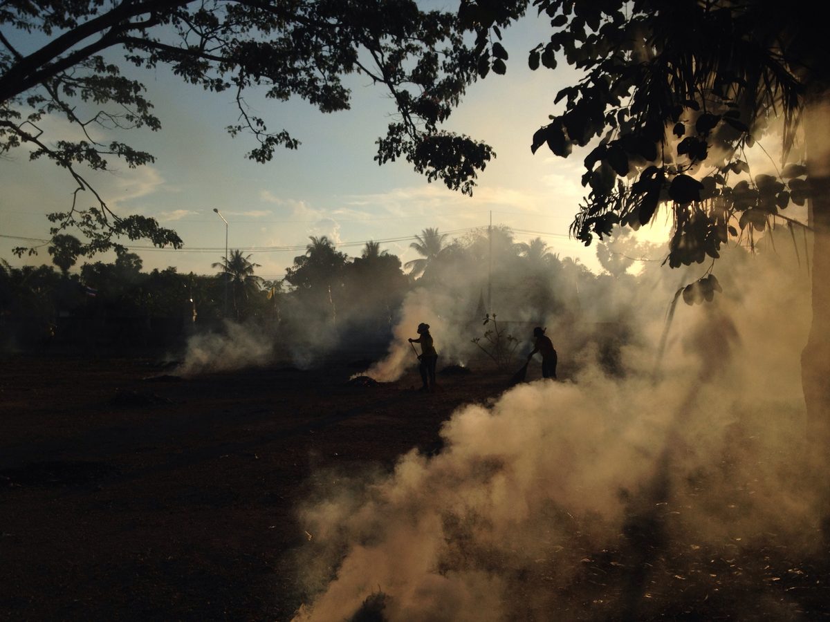 Mastering Export Workflows: How to Share Your Photoshop Actions Without Losing Your Mind