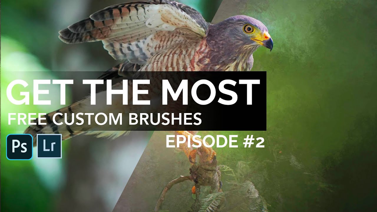Stop Painting with Generic Brushes: How to Build Free, High-Quality Custom Brushes in Photoshop