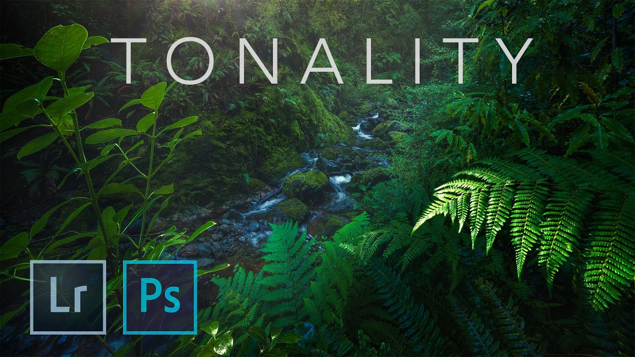 Tonal Separation in Forest and Waterfall Scenes: Lessons from William Patino's NZ Landscape Workflow