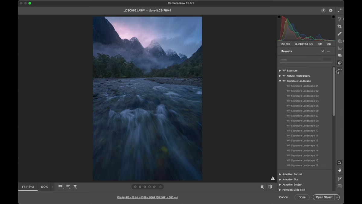 Second raw file open with AI mask automatically updated for new subject