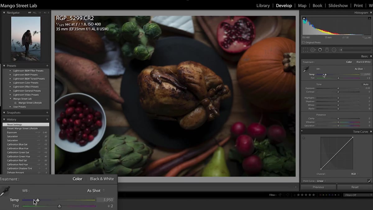 Exposure and white balance sliders adjusted before any color work