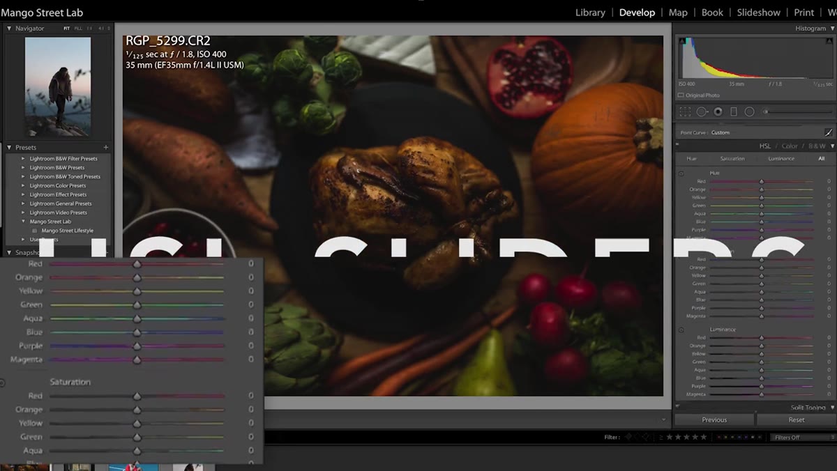 HSL panel open with hue, saturation, and luminance tabs visible