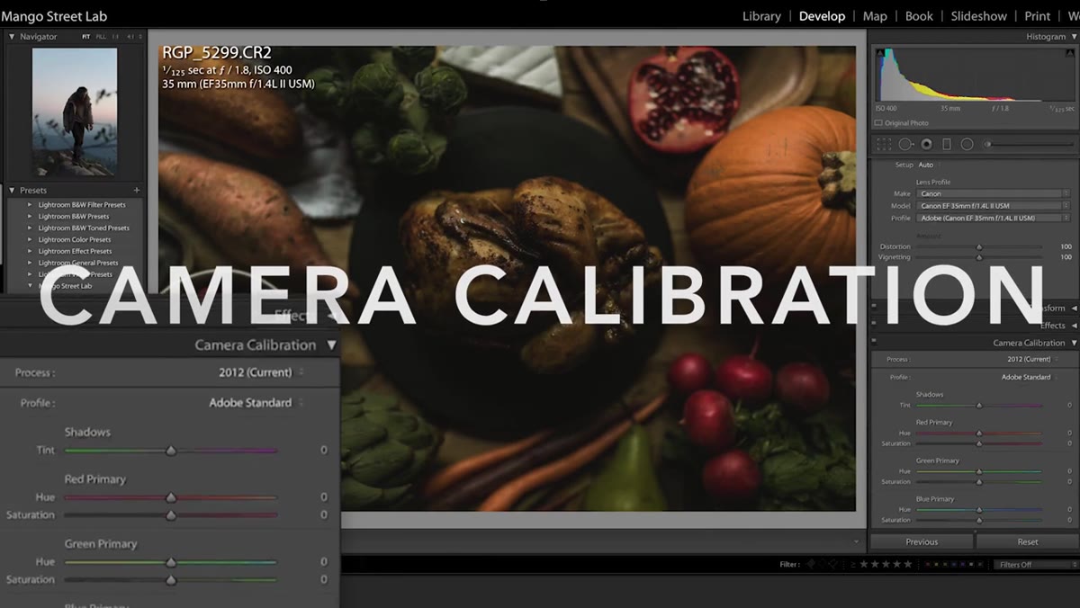 Camera calibration panel with shadow tint and RGB channel adjustments
