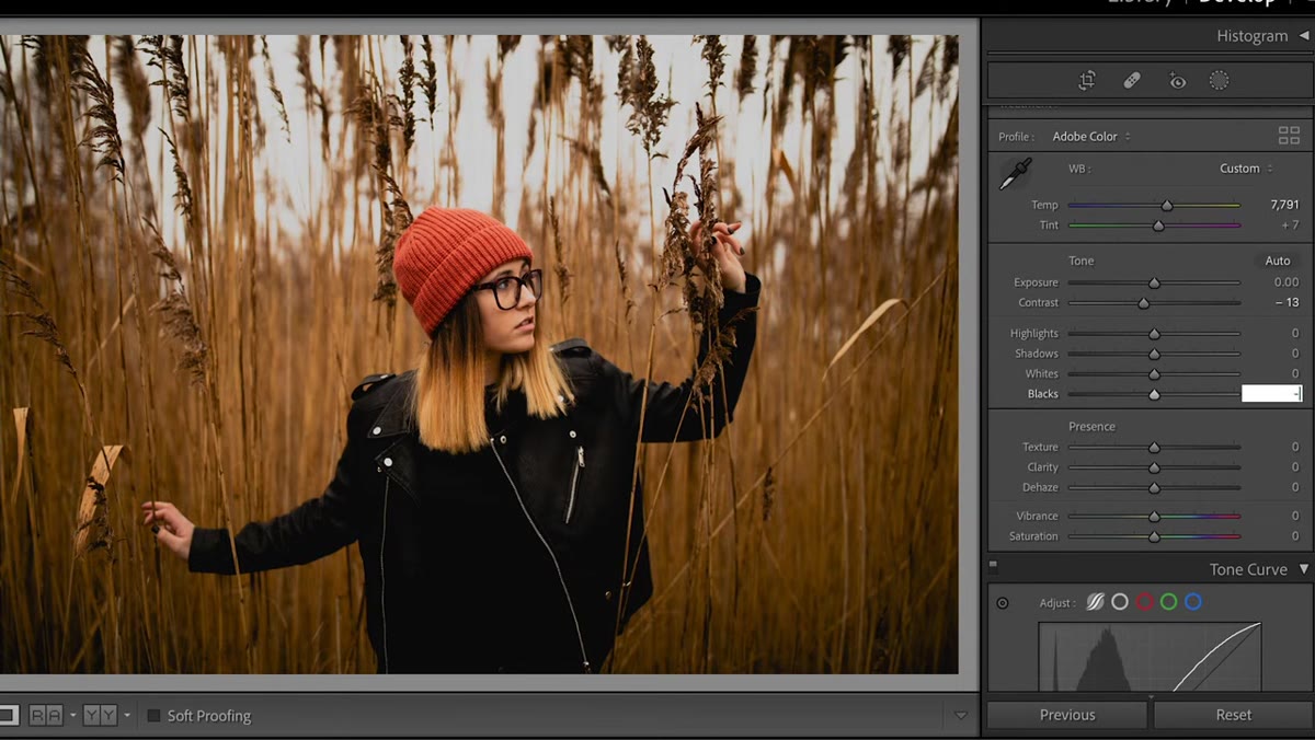 Basic panel with Blacks, Shadows, Highlights sliders adjusted