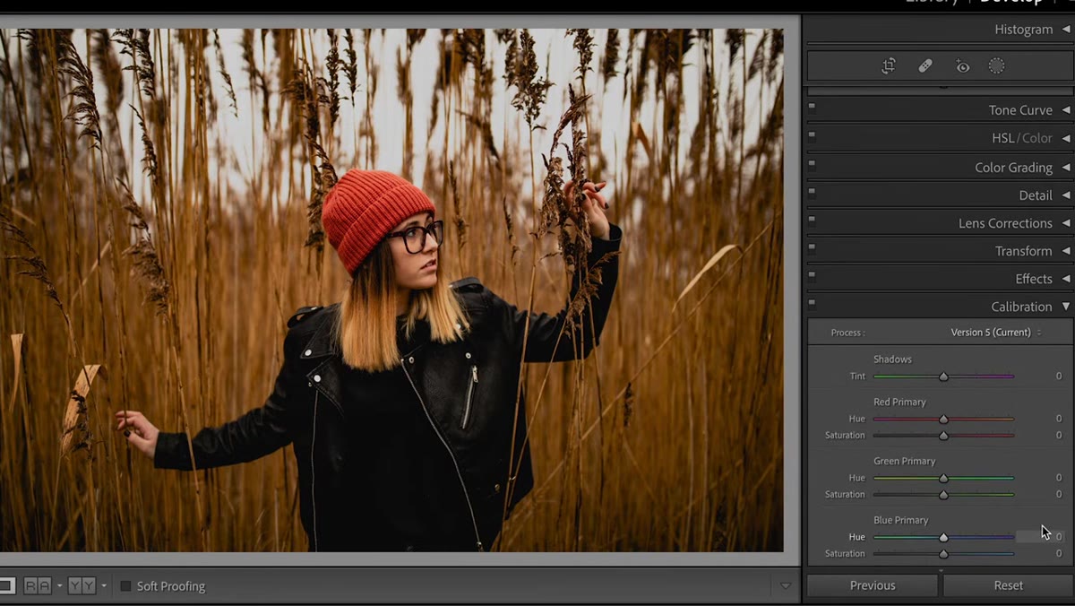 Camera Calibration panel with RGB primary sliders being adjusted