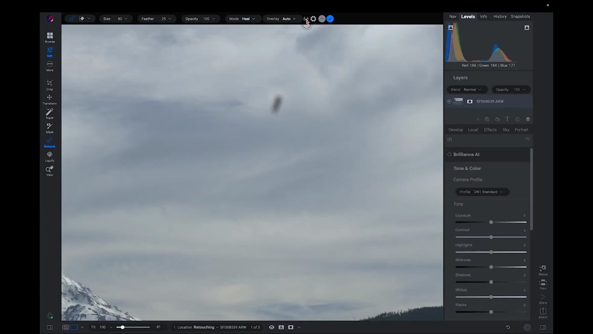 Visualize Dust mode showing multiple dust spots on screen