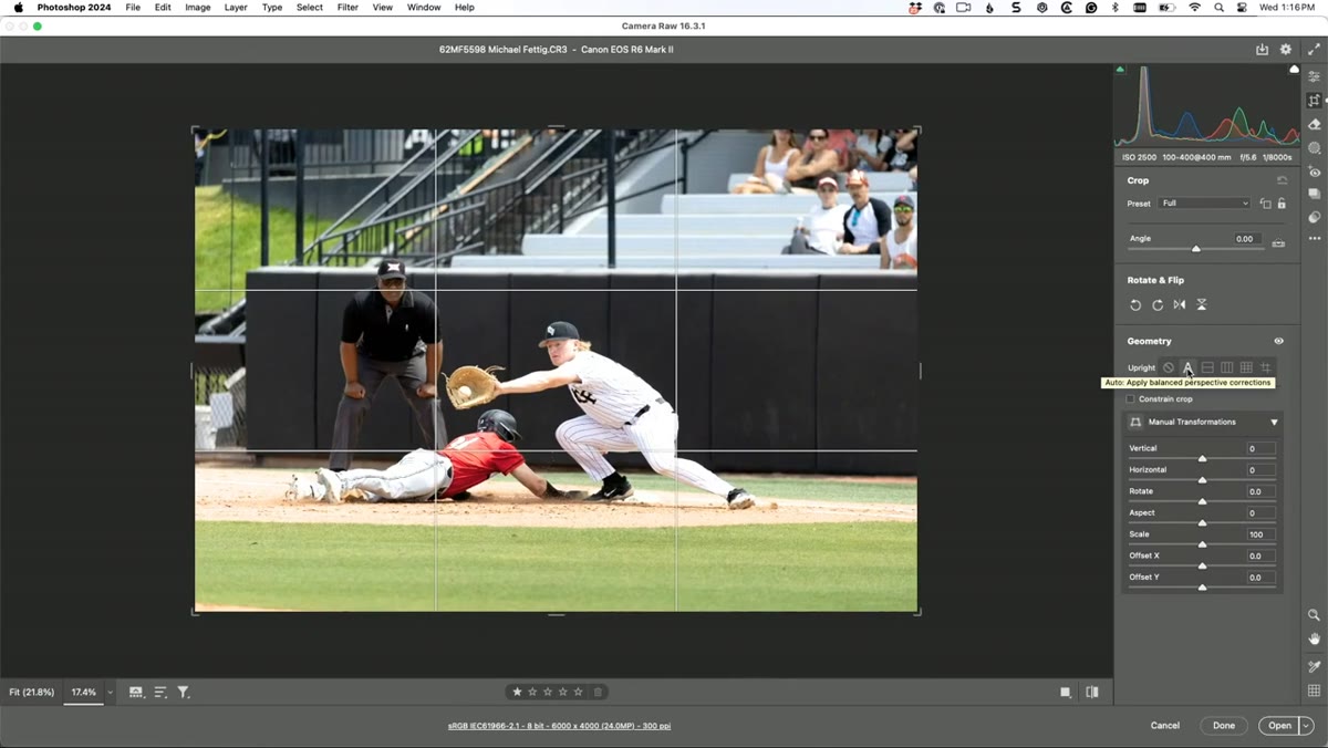 Crop tool selected in Camera Raw with auto-straighten