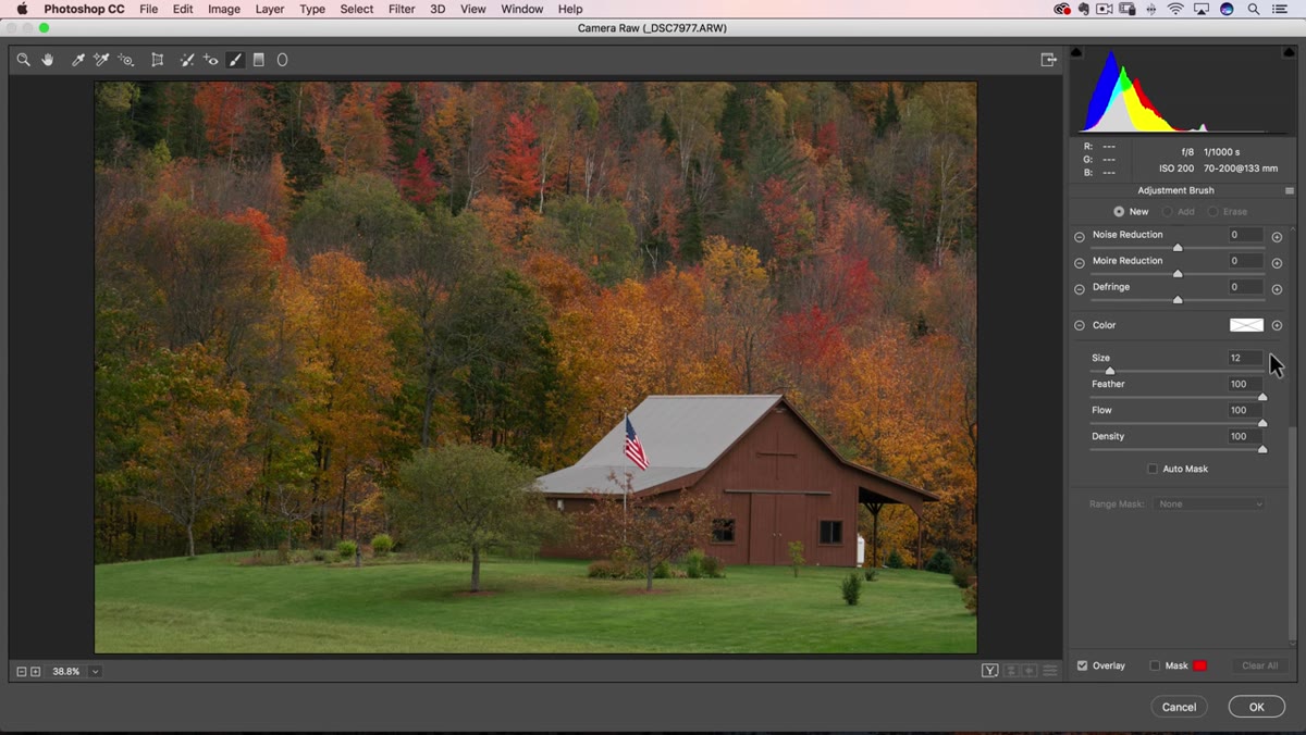 Camera Raw brush panel with Flow and Density sliders at the bottom