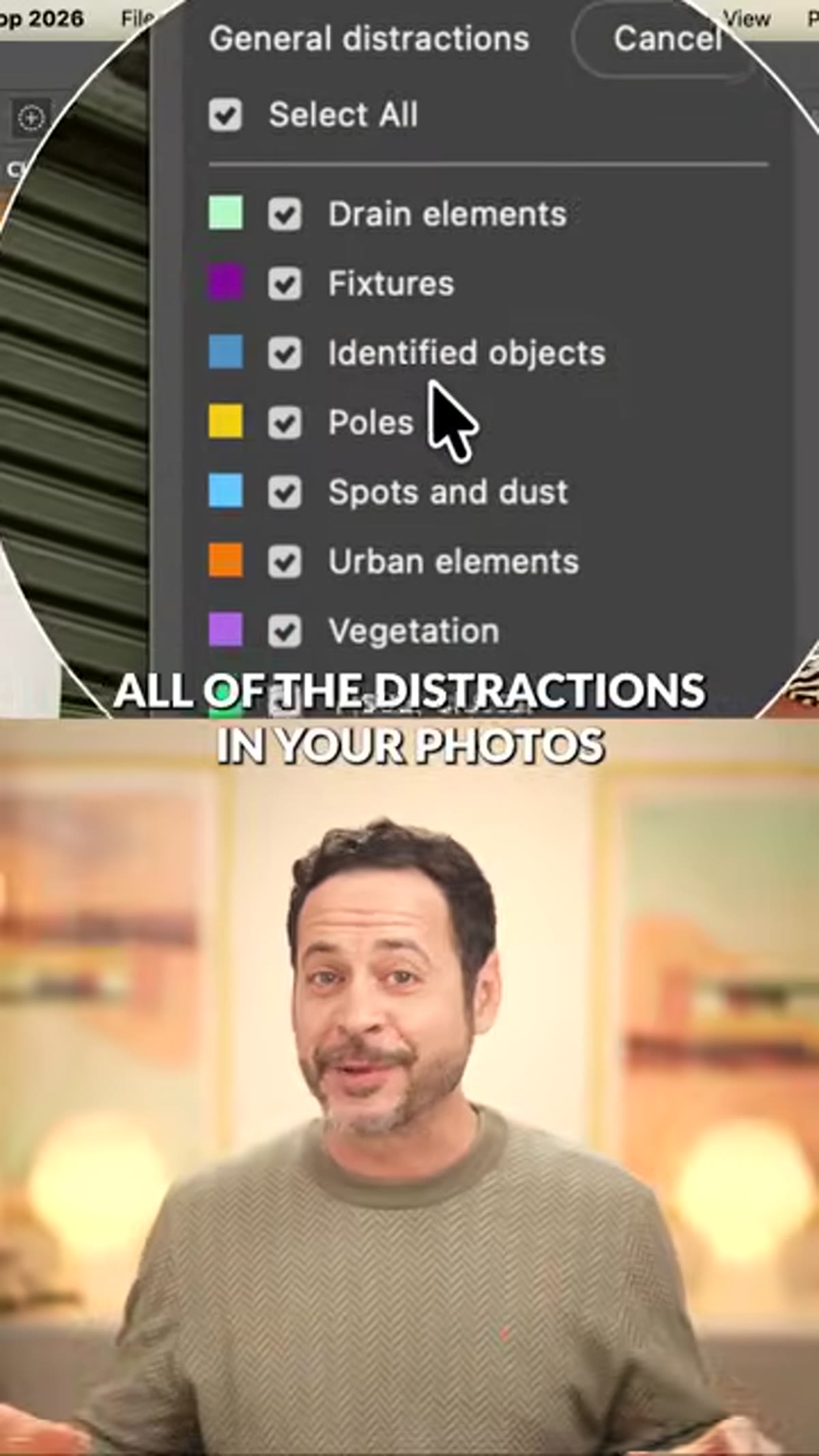 Distractions found and categorized in the photo