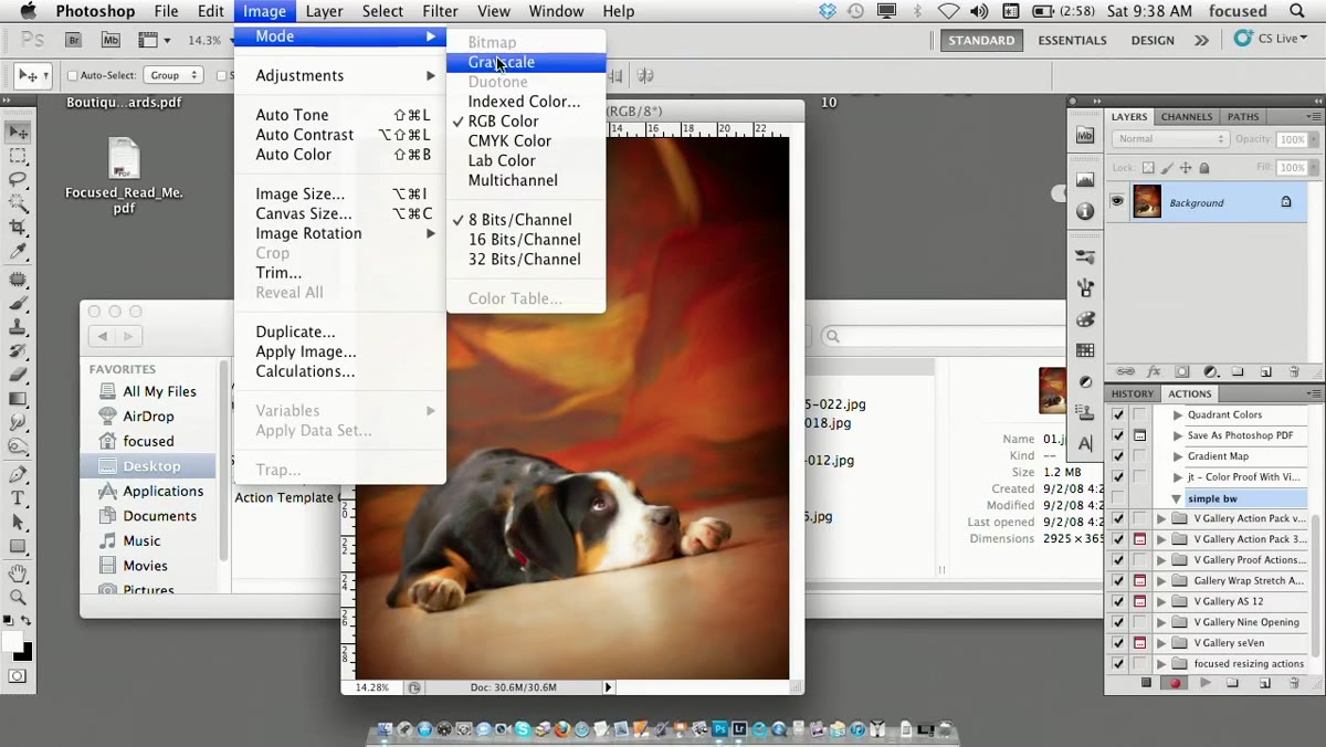 Image menu open showing Desaturate option selected