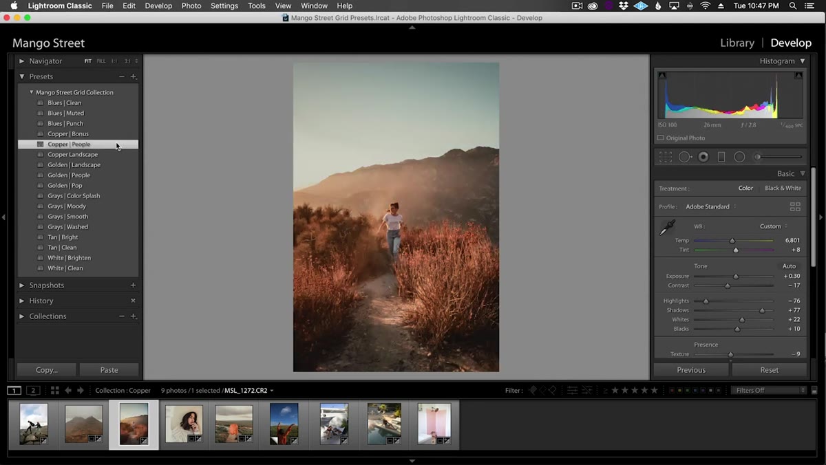 Copper people preset applied, skin tones controlled versus landscape version
