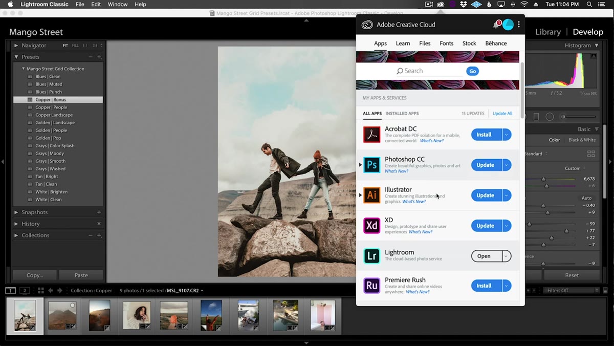 Lightroom CC import profiles and presets dialog on desktop