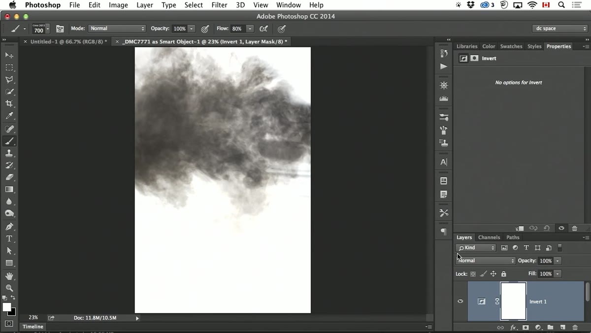 Invert adjustment layer applied, showing black smoke on white background