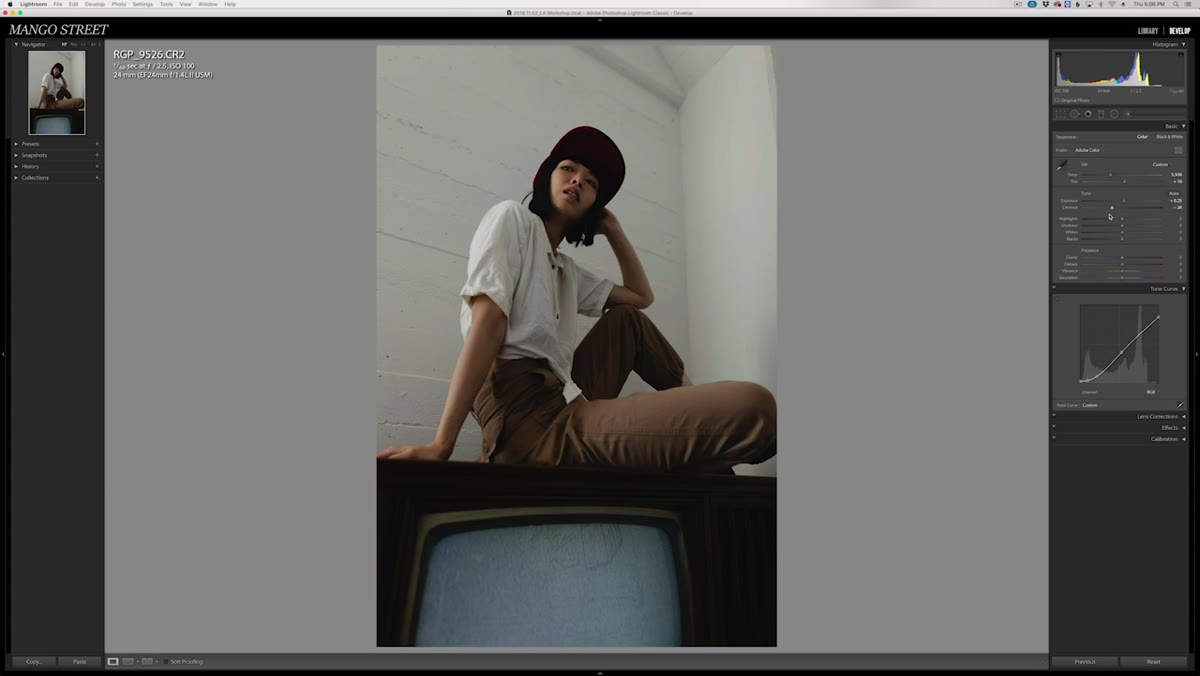 Basic panel with contrast dropped, highlights lowered, shadows boosted