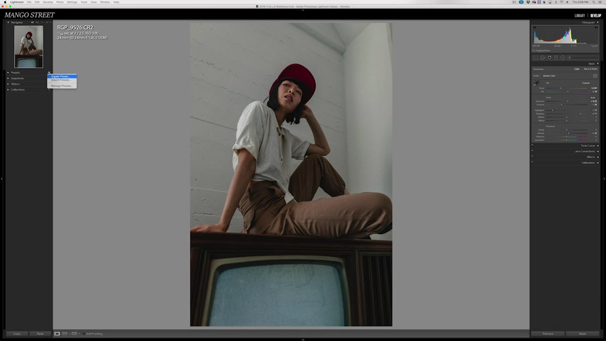 Save preset dialog with white balance and exposure unchecked
