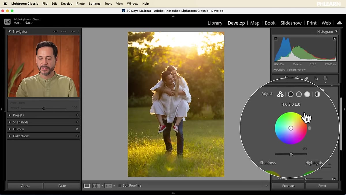 Color Grading panel open with midtone wheel nudged toward green-yellow