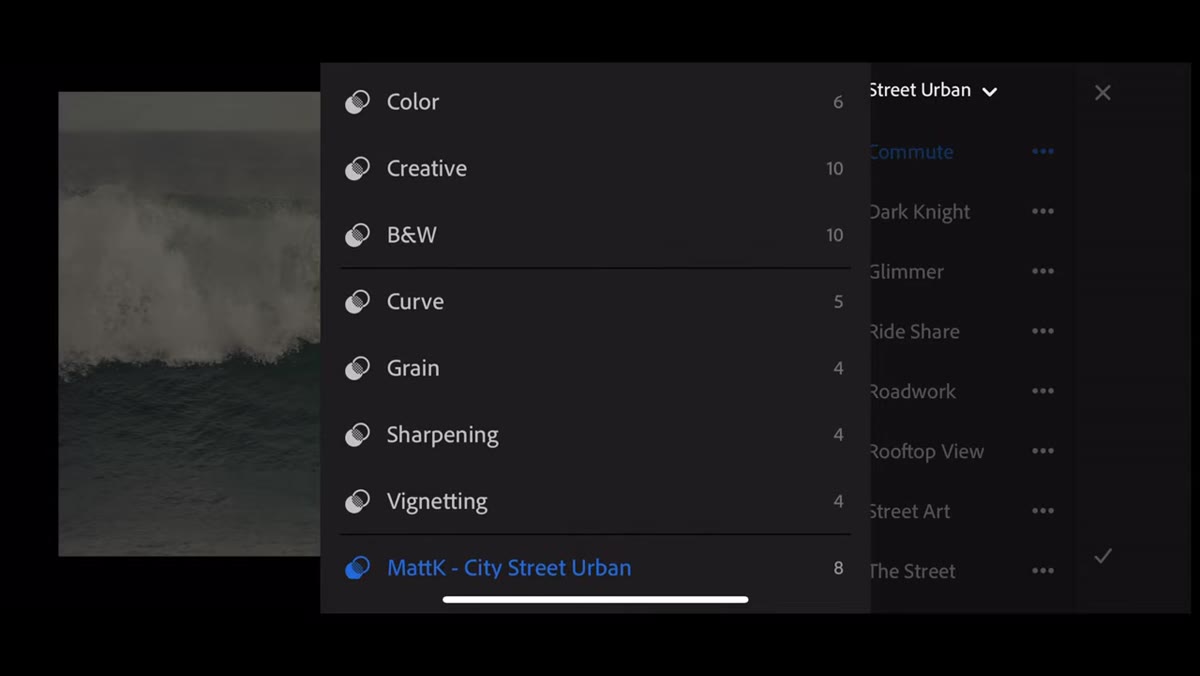 Develop module open, Presets panel visible on left side