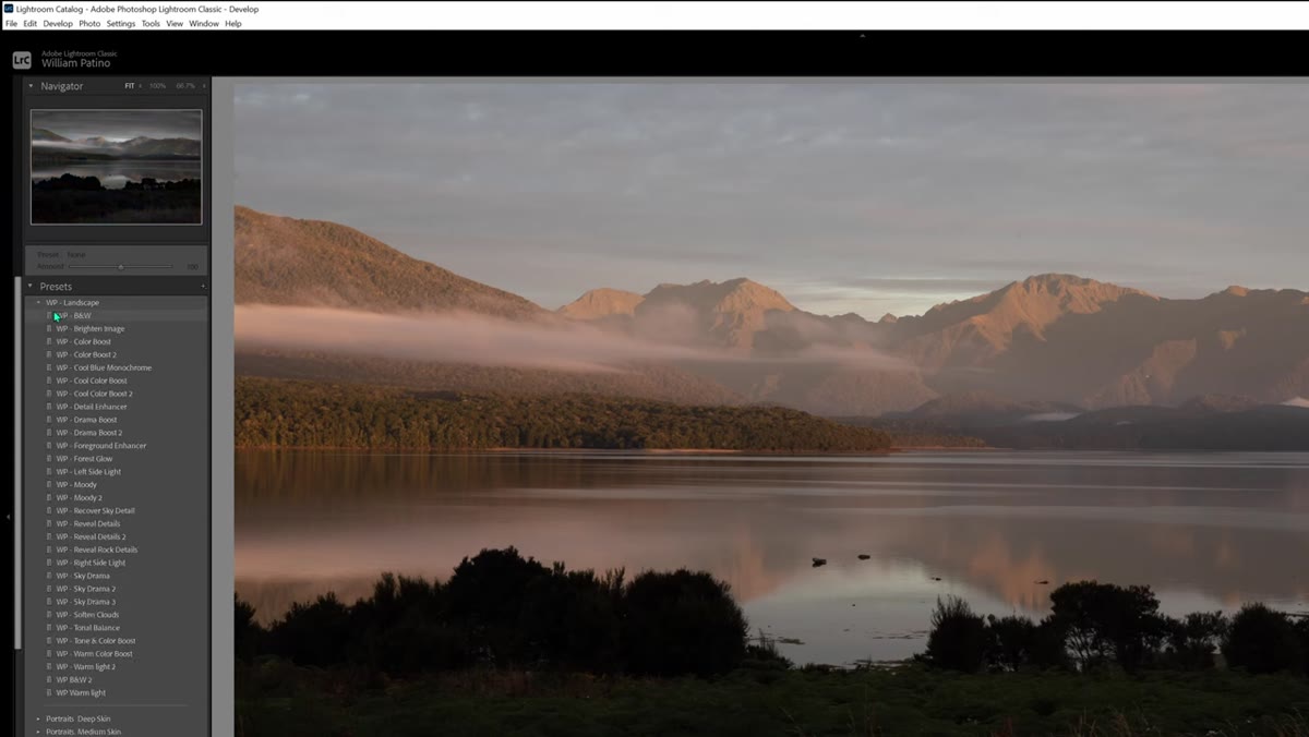 Presets panel showing newly imported WP Landscape folder expanded