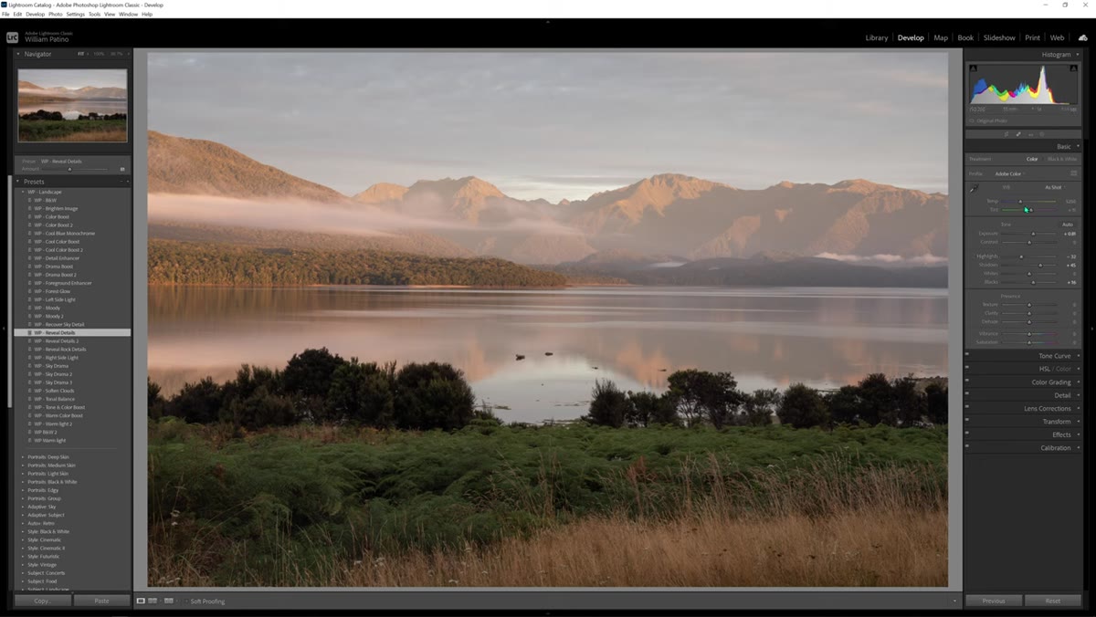 Lightroom editing panel showing sliders adjusted by the preset