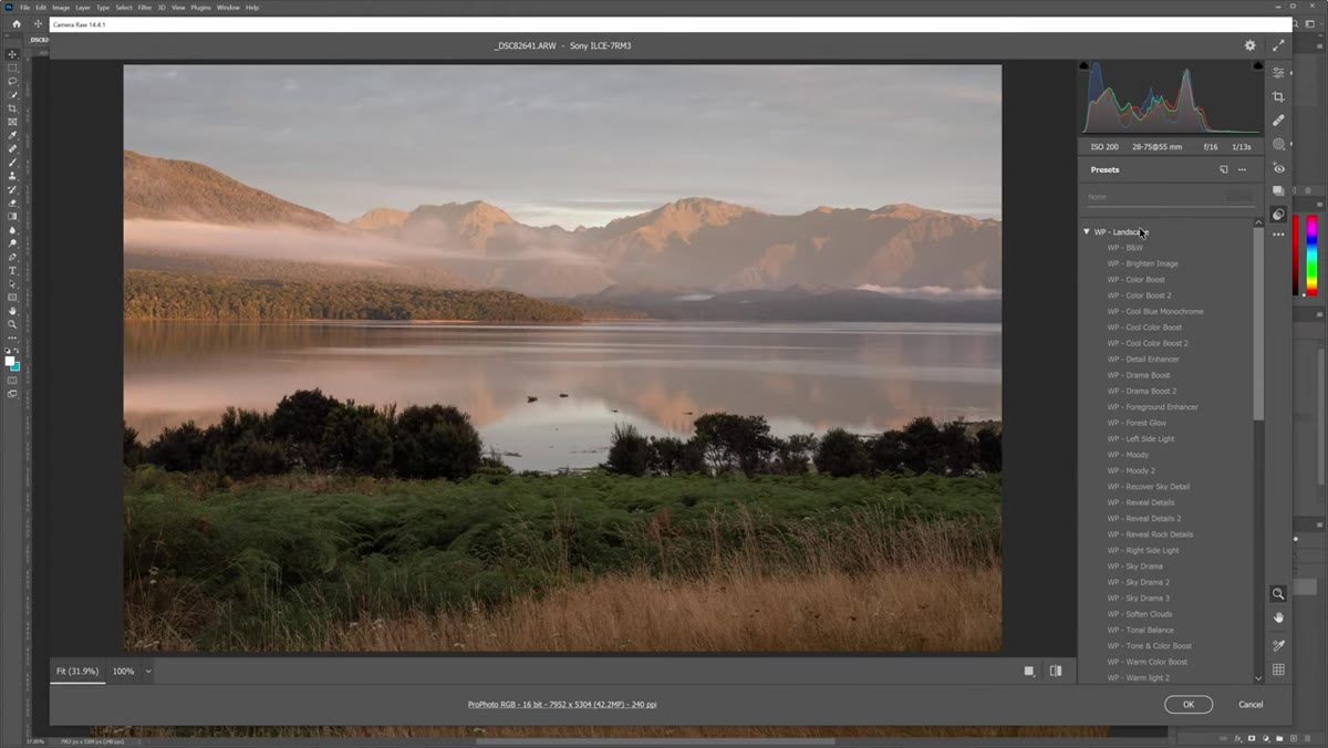 Adobe Camera Raw interface with preset panel open on right side