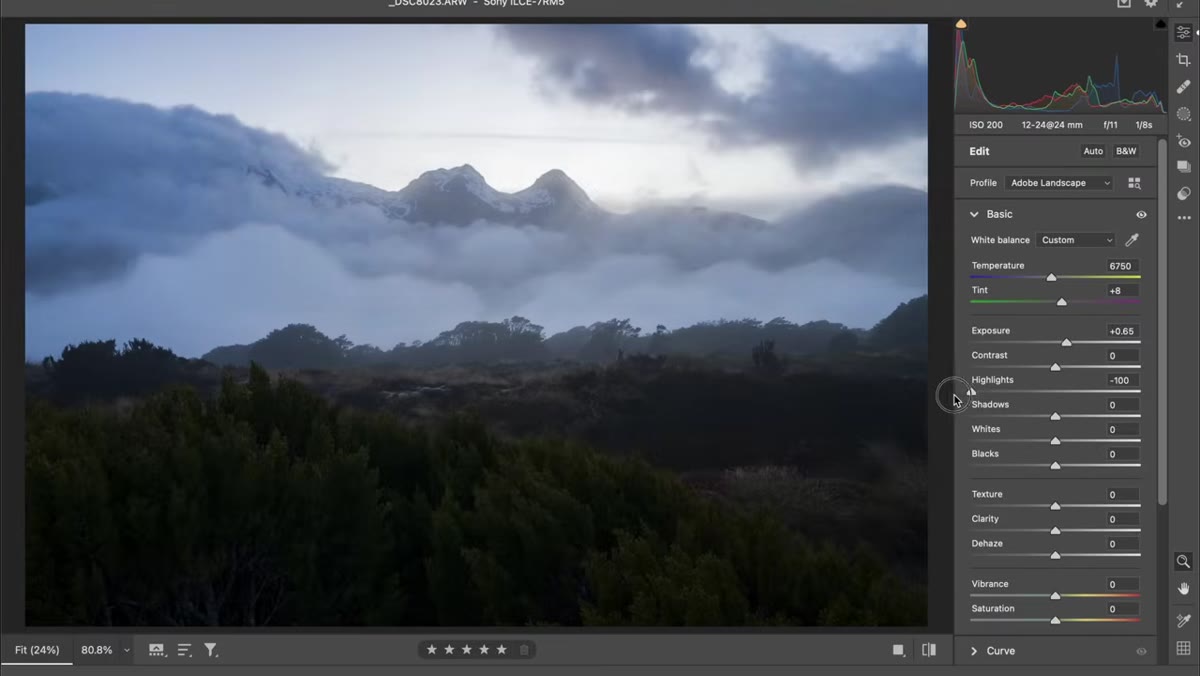 Highlights slider pulled left, Shadows slider raised moderately