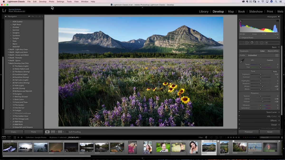 File menu open with Import Develop Profiles and Presets option highlighted