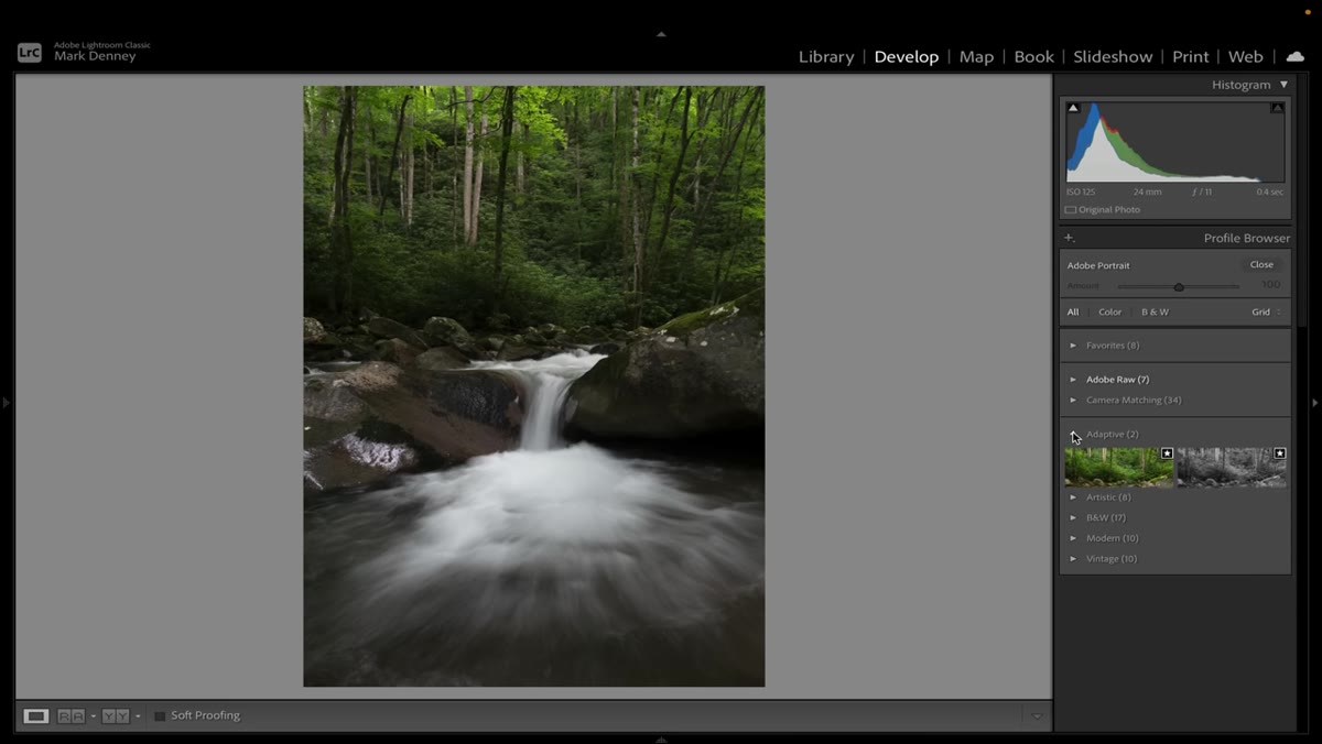 &ldquo;Adaptive&rdquo; section visible in profile browser with Adaptive Color and Adaptive Black and White options