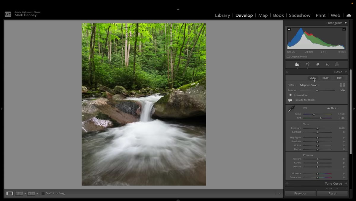 Adaptive Color applied, Amount slider visible below profile name in Basic panel
