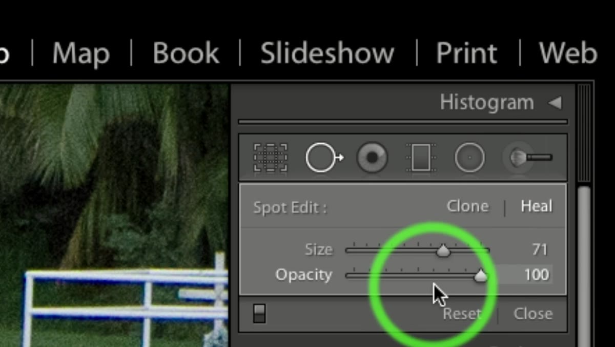 Heal, clone, and opacity controls in the brush panel