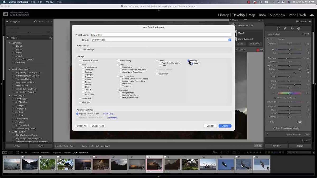 Preset save dialog showing masking options included