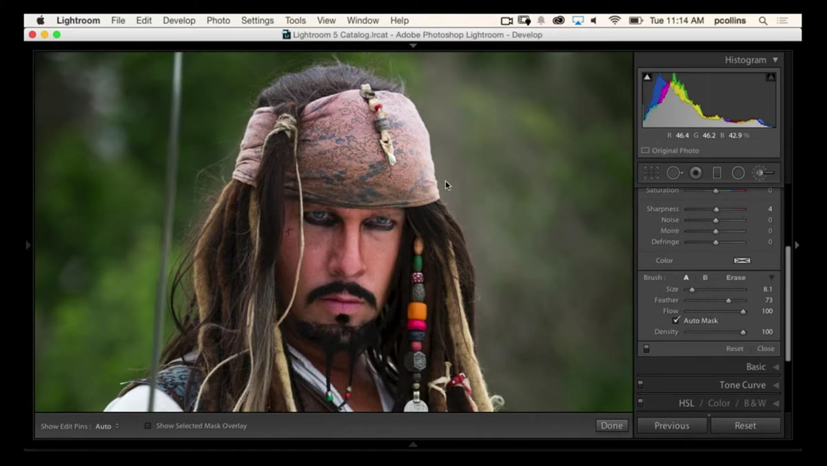Adjustment Brush settings panel with both Density and Flow set low for portrait work
