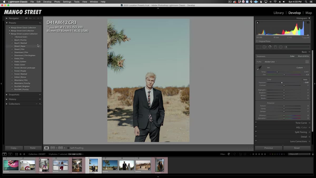 Desert Aqua preset applied to outdoor portrait in bright light
