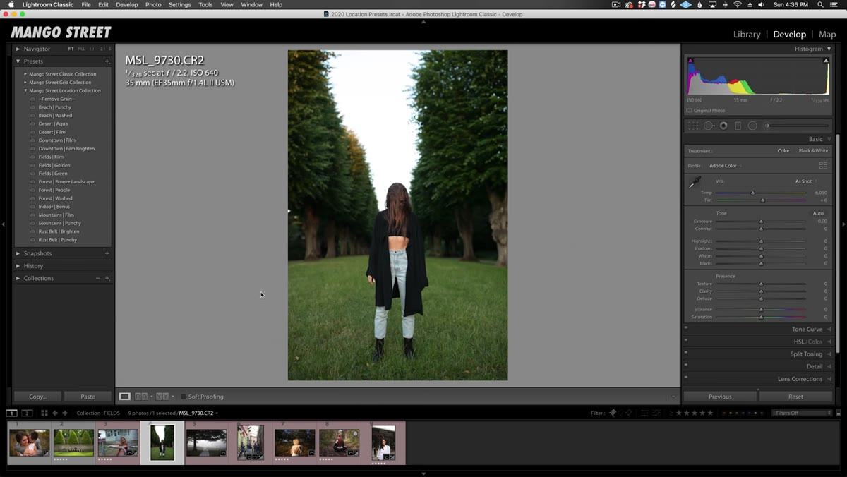 Fields Green preset applied to portrait in park setting