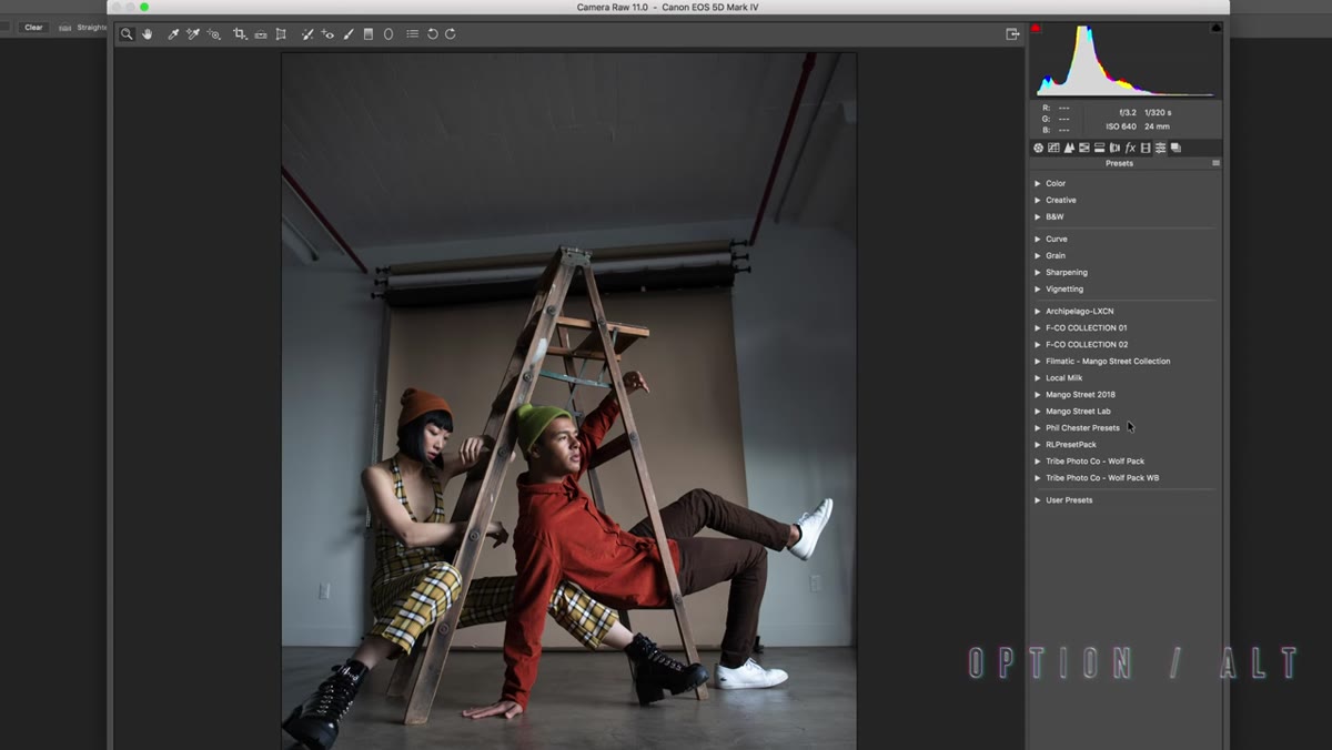 Clicking the Presets tab inside Camera Raw