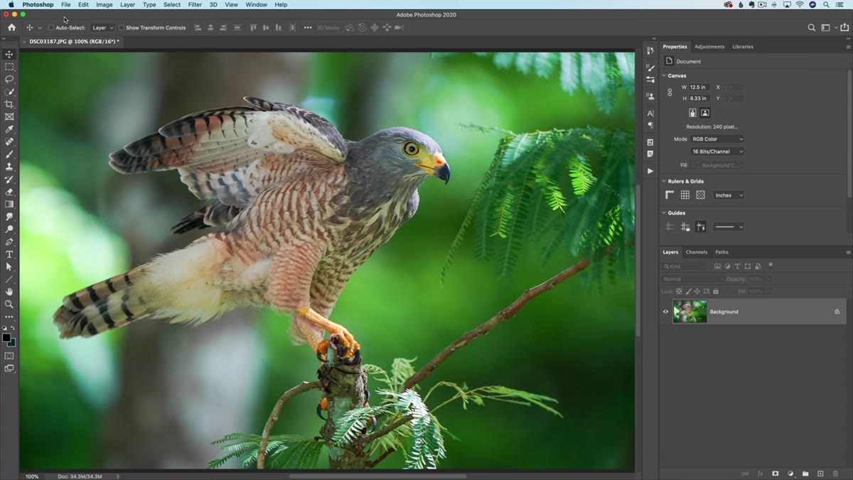 Opening a high-contrast texture image in Photoshop