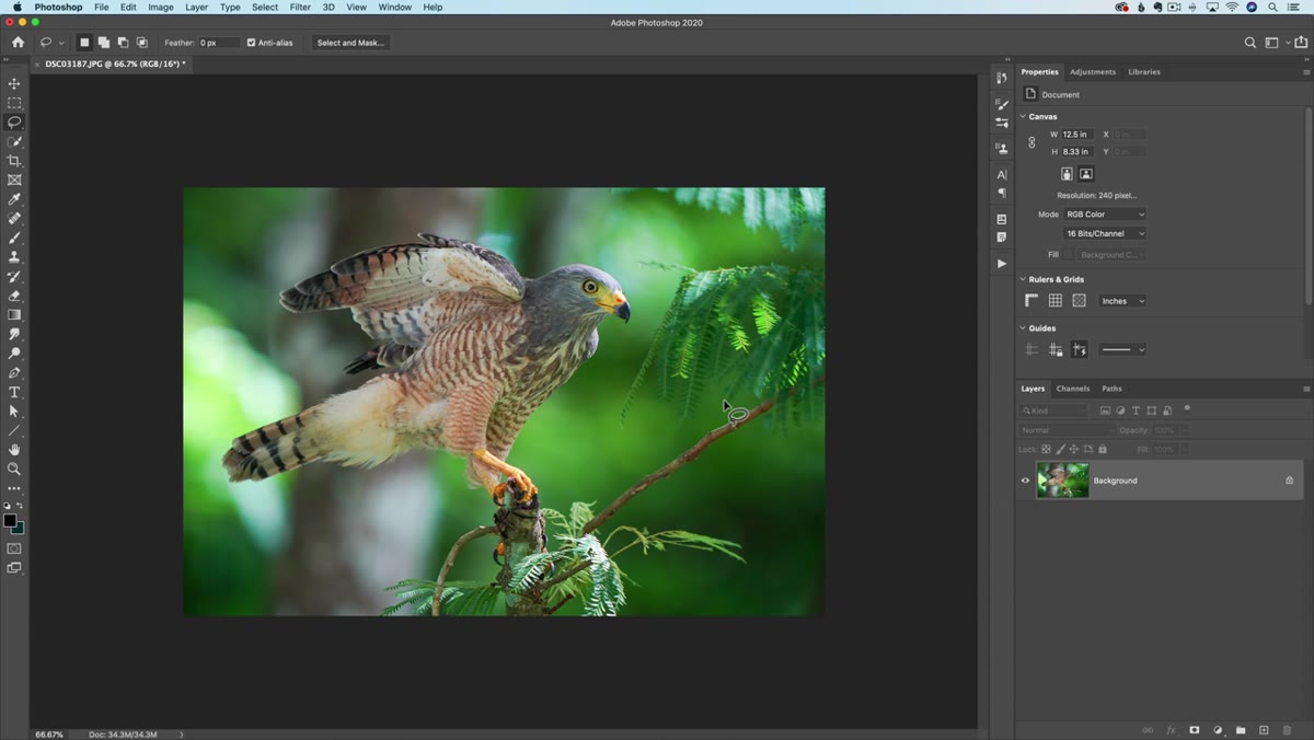 Adjusting Levels sliders on a desaturated texture layer