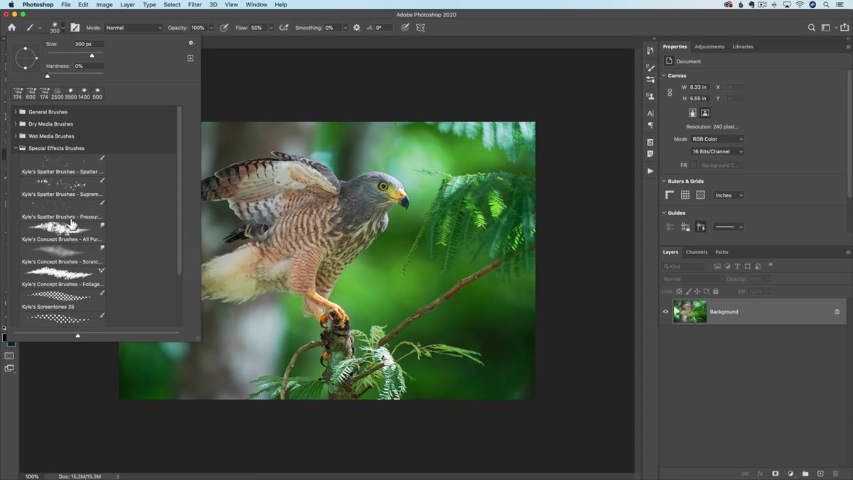 Brush Settings panel open showing Shape Dynamics and Scattering options