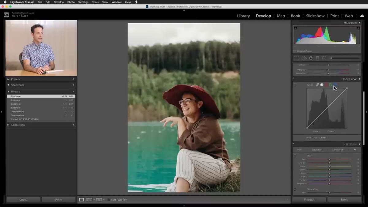 Tone curve panel open with green channel selected