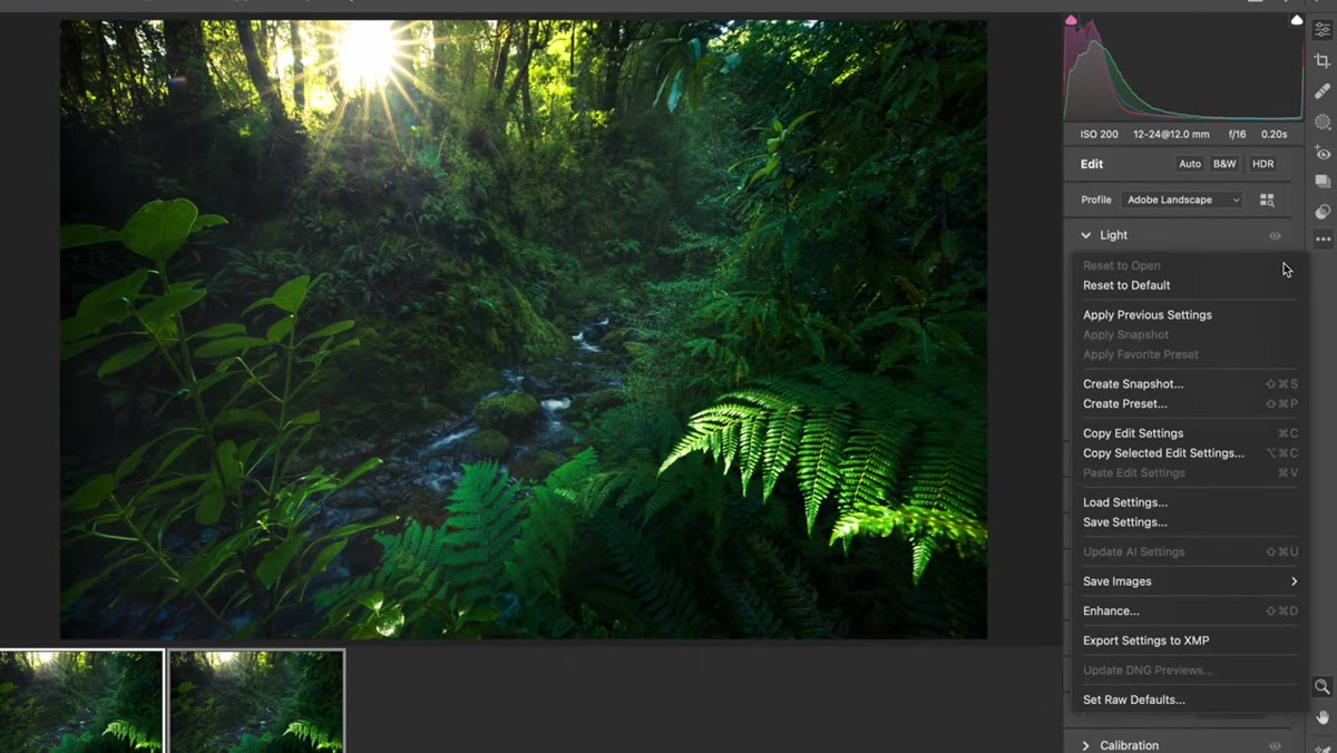 caption: Adobe Camera Raw open with edit applied, cursor on Reset button
