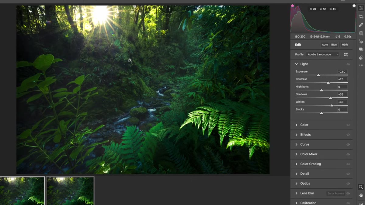 caption: Camera Raw adjustment panels visible with regional editing tools