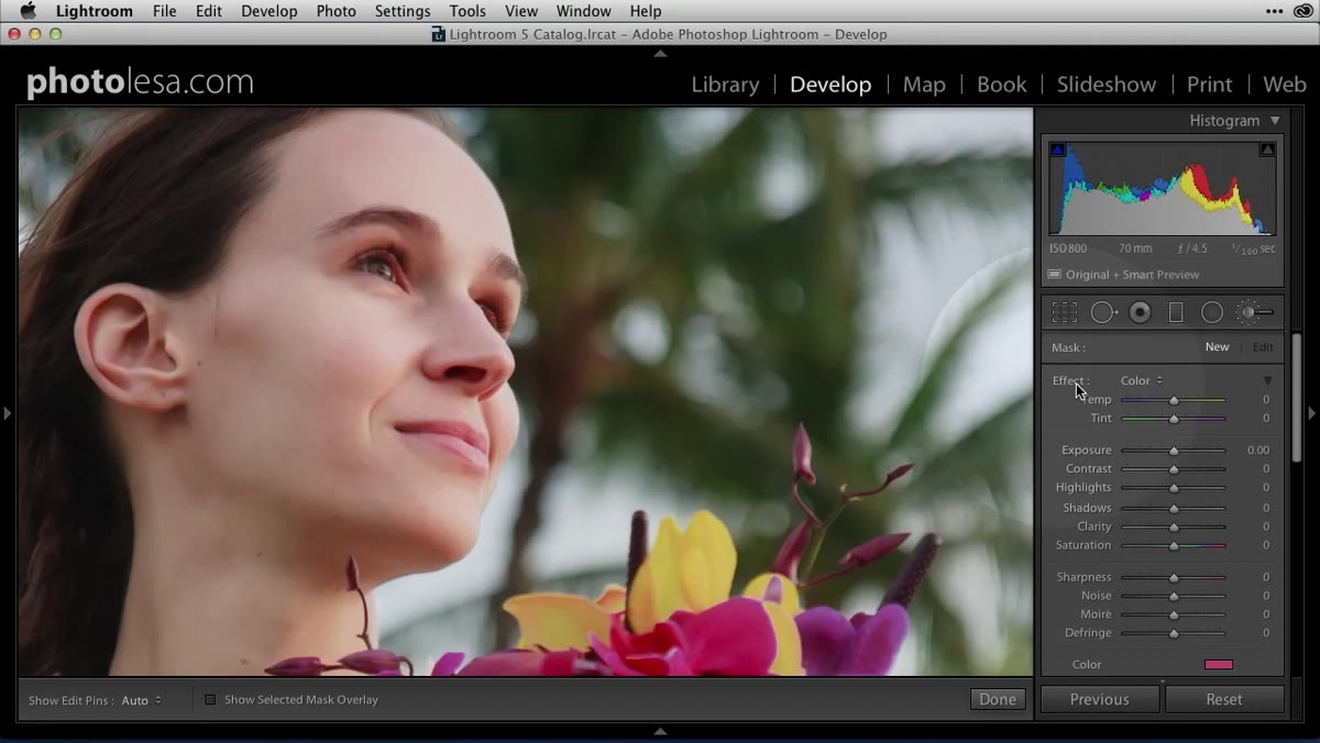 Adjustment brush active in Lightroom with Effect popup visible